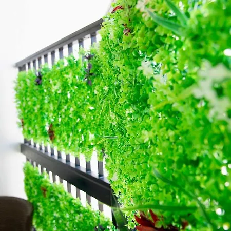 Gold Feather 2bedroom Center Location And Pool Апартаменты *