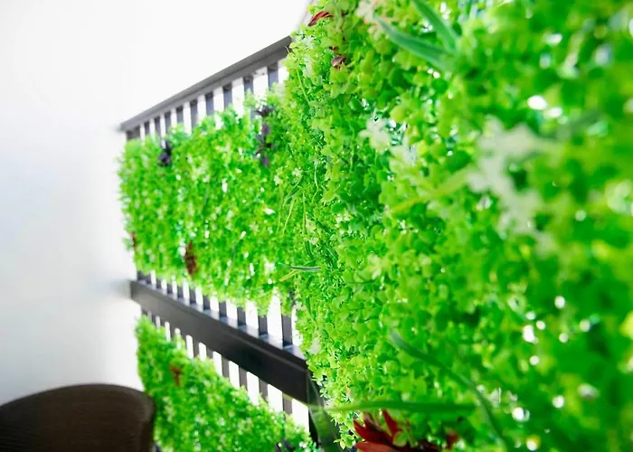 Gold Feather 2bedroom Center Location And Pool Appartamento *